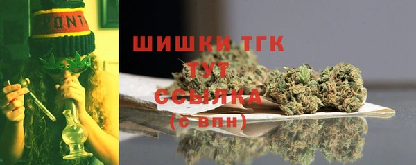 эйфоретик Аркадак