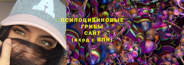 apvp Богородицк