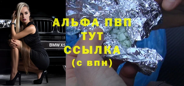 spice Богданович