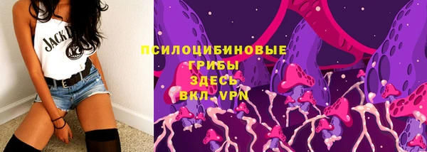 крисы Арсеньев