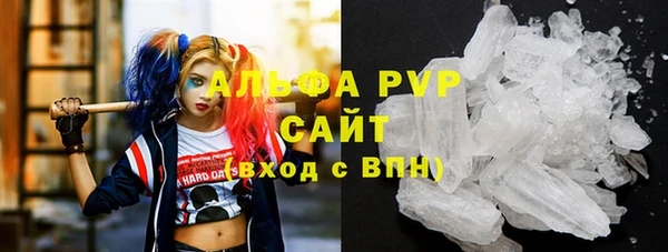 apvp Богородицк